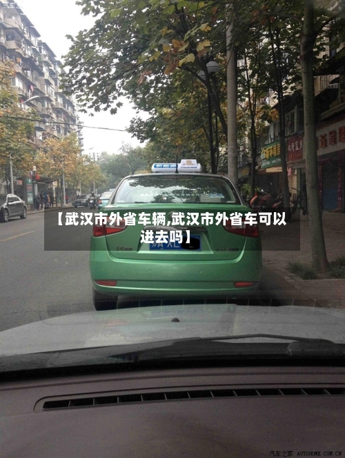 【武汉市外省车辆,武汉市外省车可以进去吗】-第3张图片