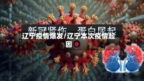 辽宁疫情爆发/辽宁本次疫情起因