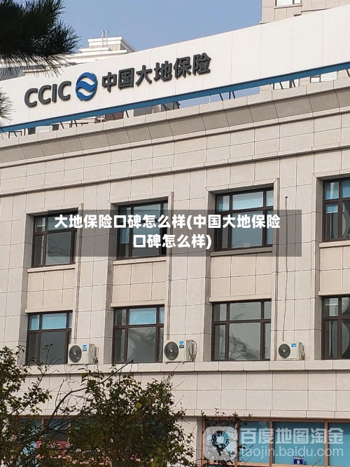 大地保险口碑怎么样(中国大地保险口碑怎么样)-第3张图片