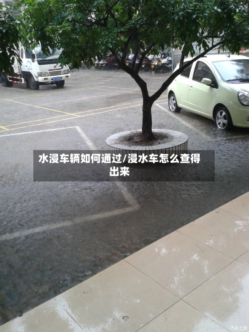 水浸车辆如何通过/浸水车怎么查得出来-第2张图片