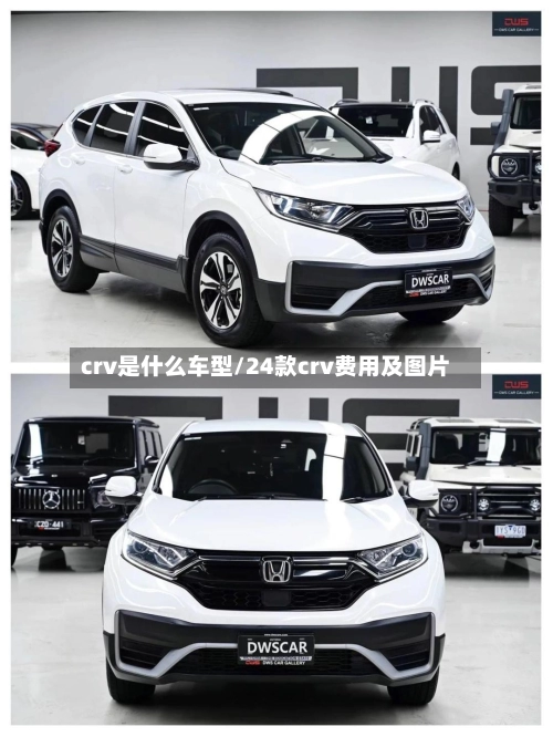 crv是什么车型/24款crv费用及图片-第2张图片