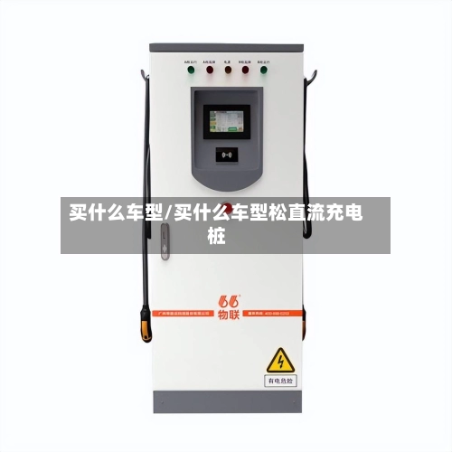 买什么车型/买什么车型松直流充电桩