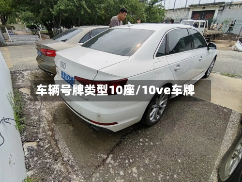 车辆号牌类型10座/10ve车牌