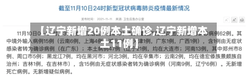 【辽宁新增20例本土确诊,辽宁新增本土11例】-第2张图片