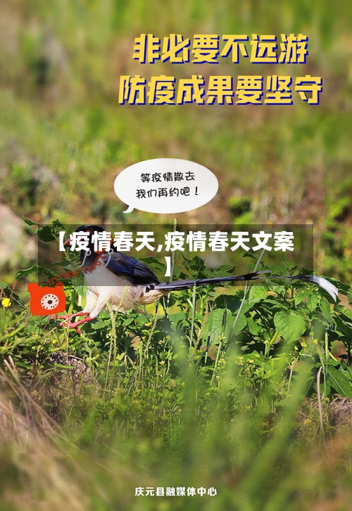 【疫情春天,疫情春天文案】-第2张图片