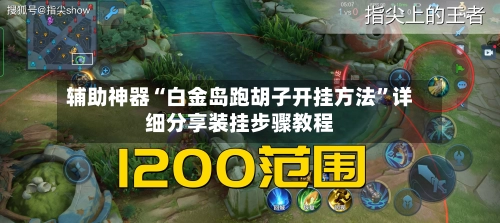 辅助神器“白金岛跑胡子开挂方法	”详细分享装挂步骤教程-第2张图片