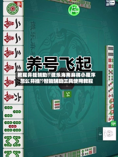 教程开挂辅助“微乐海南麻将小程序怎么开挂	”智能辅助工具使用教程-第2张图片