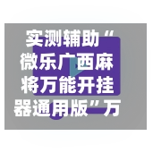 实测辅助“微乐广西麻将万能开挂器通用版	”万能辅助详细步骤与使用技巧-第3张图片