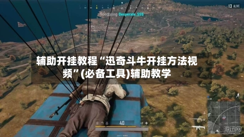 辅助开挂教程“迅奇斗牛开挂方法视频”(必备工具)辅助教学-第2张图片