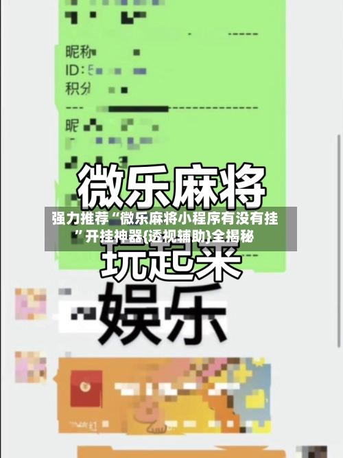 强力推荐“微乐麻将小程序有没有挂”开挂神器{透视辅助}全揭秘-第2张图片