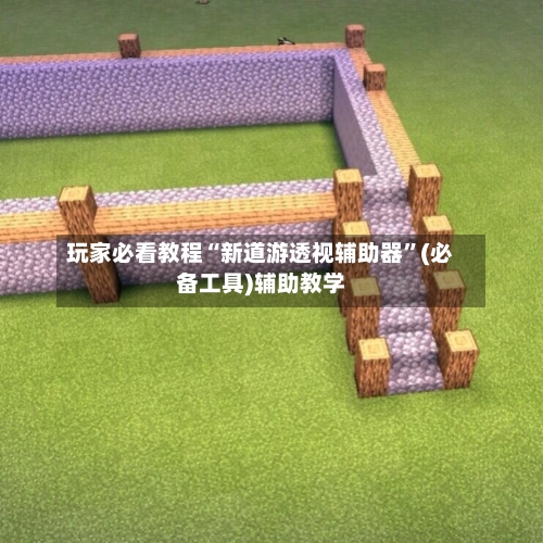 玩家必看教程“新道游透视辅助器”(必备工具)辅助教学-第3张图片
