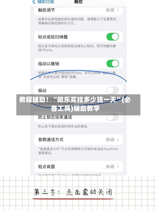 教程辅助！“微乐买挂多少钱一天”(必备工具)辅助教学-第3张图片