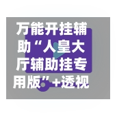万能开挂辅助“人皇大厅辅助挂专用版”+透视挂”开挂辅助软件教程-第2张图片