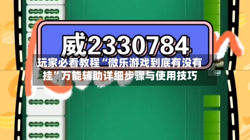 玩家必看教程“微乐游戏到底有没有挂”万能辅助详细步骤与使用技巧-第2张图片
