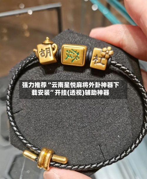强力推荐“云南星悦麻将外卦神器下载安装”开挂(透视)辅助神器-第2张图片