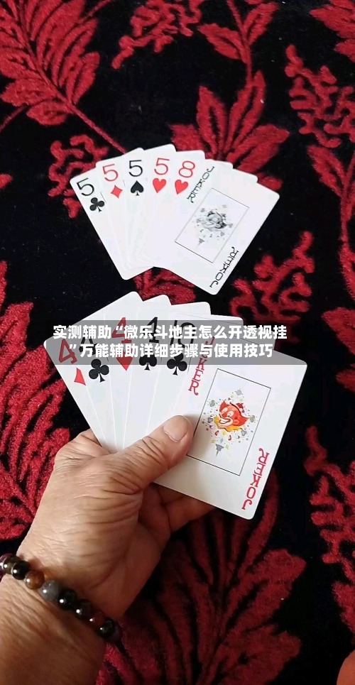 实测辅助“微乐斗地主怎么开透视挂”万能辅助详细步骤与使用技巧