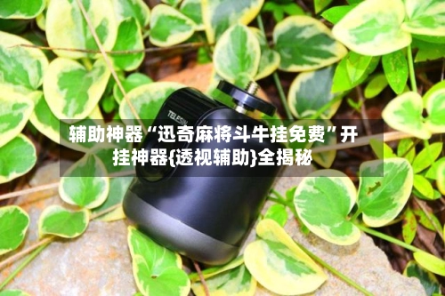 辅助神器“迅奇麻将斗牛挂免费”开挂神器{透视辅助}全揭秘-第3张图片