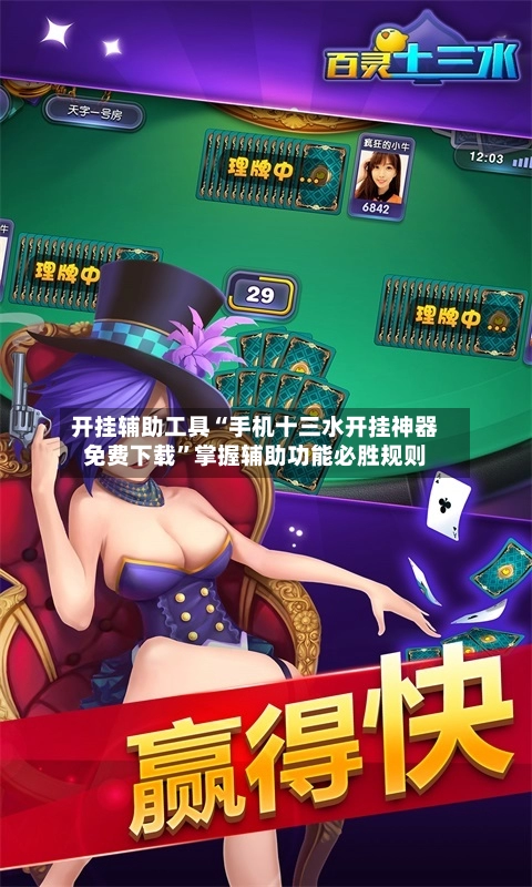 开挂辅助工具“手机十三水开挂神器免费下载	”掌握辅助功能必胜规则-第3张图片