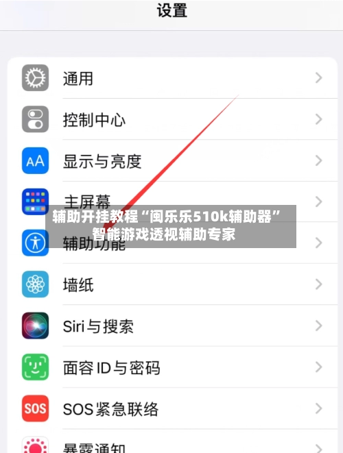 辅助开挂教程“闽乐乐510k辅助器”智能游戏透视辅助专家-第3张图片