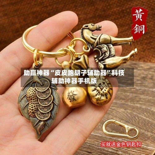 助赢神器“皮皮跑胡子辅助器	”科技辅助神器手机版-第2张图片