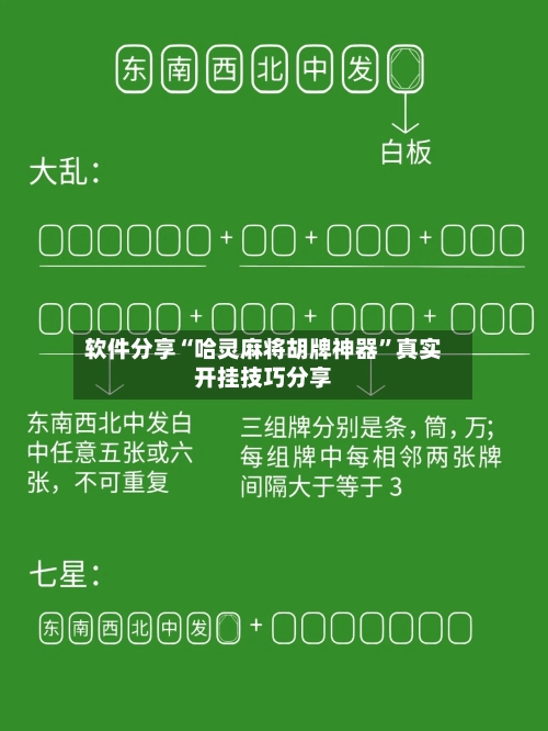 软件分享“哈灵麻将胡牌神器”真实开挂技巧分享-第2张图片