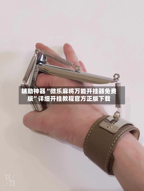 辅助神器“微乐麻将万能开挂器免费版	”详细开挂教程官方正版下载-第2张图片