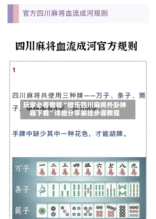 玩家必看教程“微乐四川麻将外卦神器下载”详细分享装挂步骤教程-第3张图片