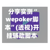 分享实测“wepoker脚本”(透视)开挂辅助脚本+详细开挂安装教程-第3张图片