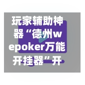 玩家辅助神器“德州wepoker万能开挂器	”开挂神器{透视辅助}全揭秘-第3张图片