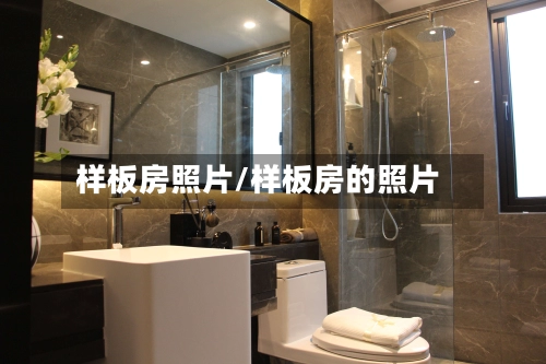 样板房照片/样板房的照片