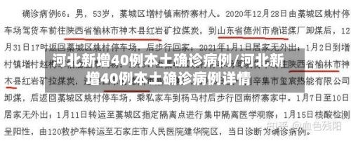 河北新增40例本土确诊病例/河北新增40例本土确诊病例详情-第2张图片