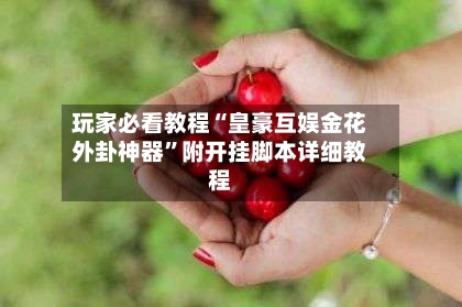 玩家必看教程“皇豪互娱金花外卦神器”附开挂脚本详细教程