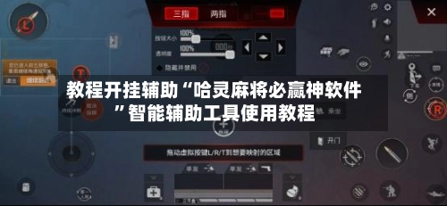 教程开挂辅助“哈灵麻将必赢神软件”智能辅助工具使用教程-第2张图片