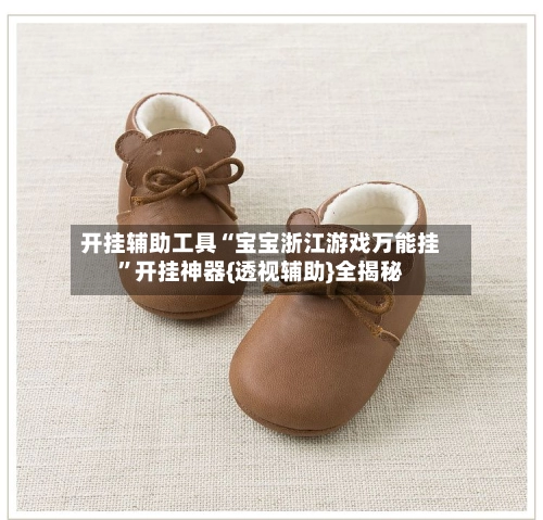 开挂辅助工具“宝宝浙江游戏万能挂”开挂神器{透视辅助}全揭秘-第2张图片
