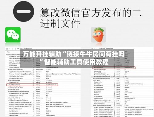 万能开挂辅助“链接牛牛房间有挂吗”智能辅助工具使用教程-第3张图片