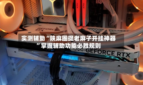实测辅助“陕麻圈捉老麻子开挂神器”掌握辅助功能必胜规则-第2张图片