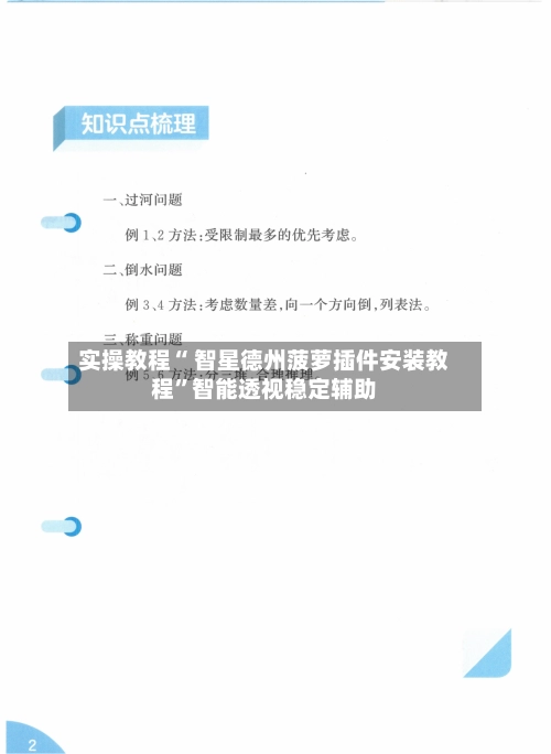 实操教程“ 智星德州菠萝插件安装教程”智能透视稳定辅助-第3张图片