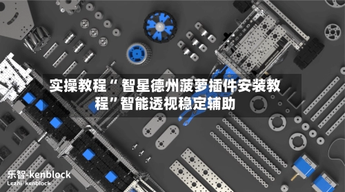 实操教程“ 智星德州菠萝插件安装教程”智能透视稳定辅助-第2张图片