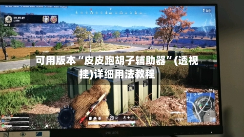 可用版本“皮皮跑胡子辅助器	”(透视挂)详细用法教程-第2张图片