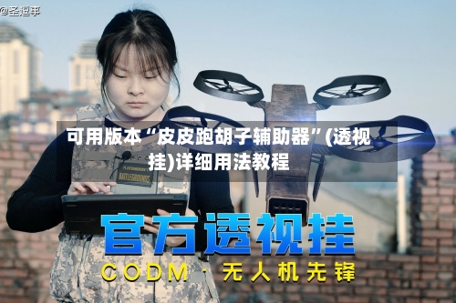 可用版本“皮皮跑胡子辅助器”(透视挂)详细用法教程-第3张图片