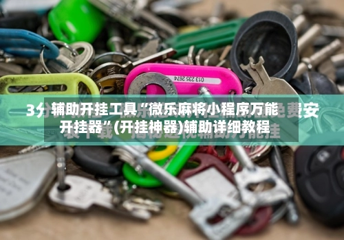 辅助开挂工具“微乐麻将小程序万能开挂器”(开挂神器)辅助详细教程-第3张图片