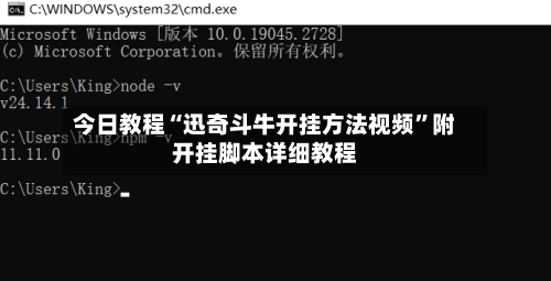 今日教程“迅奇斗牛开挂方法视频”附开挂脚本详细教程-第2张图片