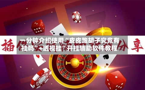 一分钟介绍使用“皮皮跑胡子究竟有挂吗	”+透视挂”开挂辅助软件教程-第2张图片