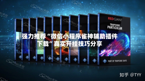 强力推荐“微信小程序雀神辅助插件下载”真实开挂技巧分享-第2张图片
