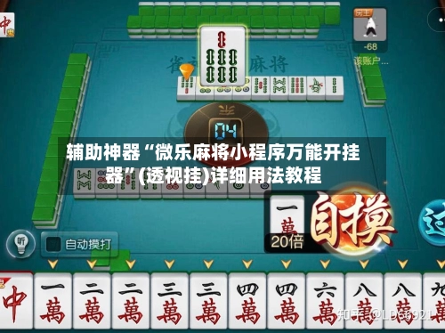 辅助神器“微乐麻将小程序万能开挂器	”(透视挂)详细用法教程-第2张图片