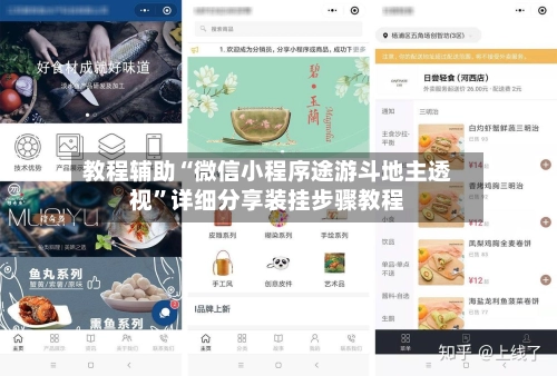 教程辅助“微信小程序途游斗地主透视”详细分享装挂步骤教程-第2张图片