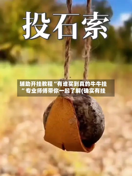 辅助开挂教程“有谁买到真的牛牛挂	”专业师傅带你一起了解(确实有挂-第2张图片