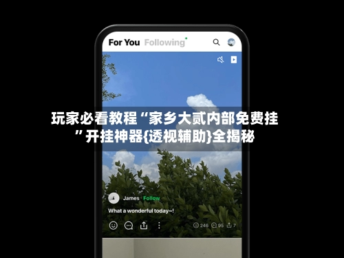 玩家必看教程“家乡大贰内部免费挂”开挂神器{透视辅助}全揭秘-第3张图片