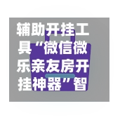 辅助开挂工具“微信微乐亲友房开挂神器”智能辅助工具使用教程-第2张图片