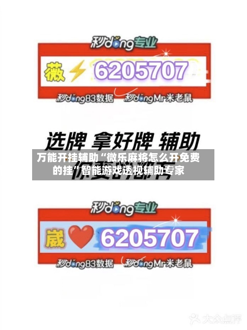 万能开挂辅助“微乐麻将怎么开免费的挂	”智能游戏透视辅助专家-第2张图片